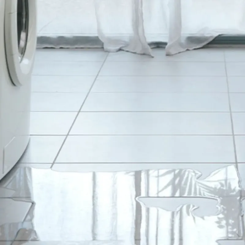 Appliance Leak Cleanup in Eddyville, KY