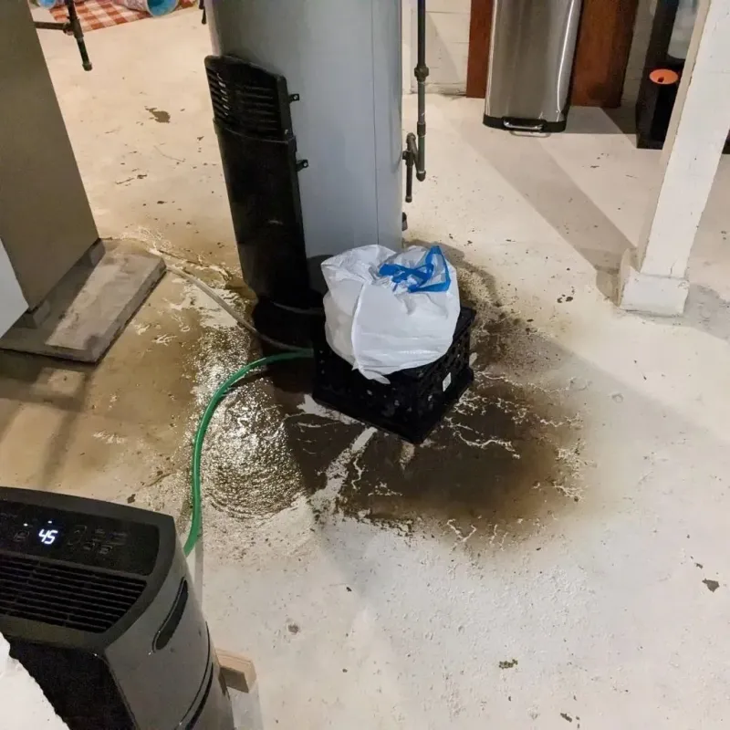 Sewage Backup Cleanup Service in Eddyville, KY